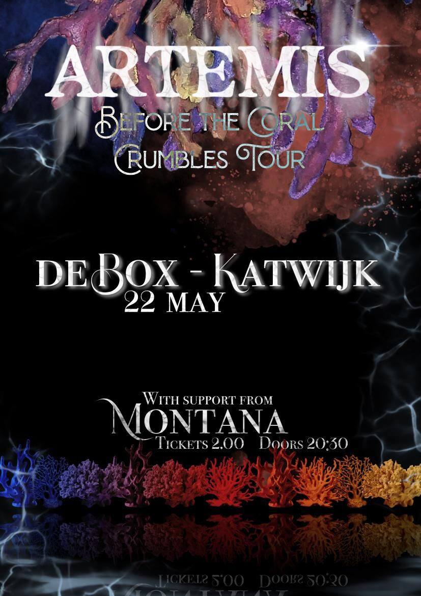 Showposter, De Box Katwijk
